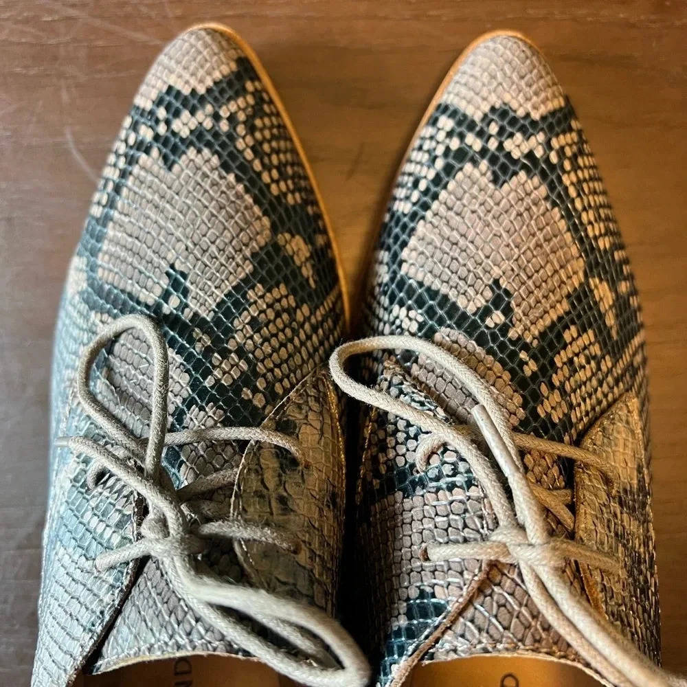 Lucky brand leather snakeskin loafers. Size 9.5. NWOT. - Picture 2 of 8